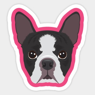 Boston Terrier Sticker